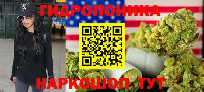 индика Конаково