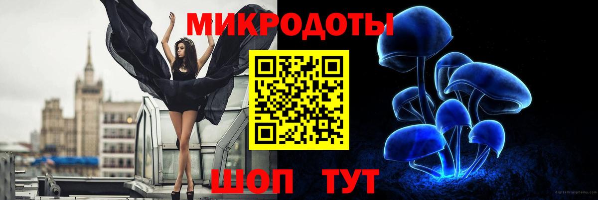 Галлюциногенные грибы Psilocybine cubensis  закладка  Ставрополь  Вход с VPN  Галлюциногенные грибы Psilocybine cubensis 